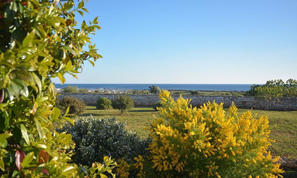 Jardin avec vue sur la mer