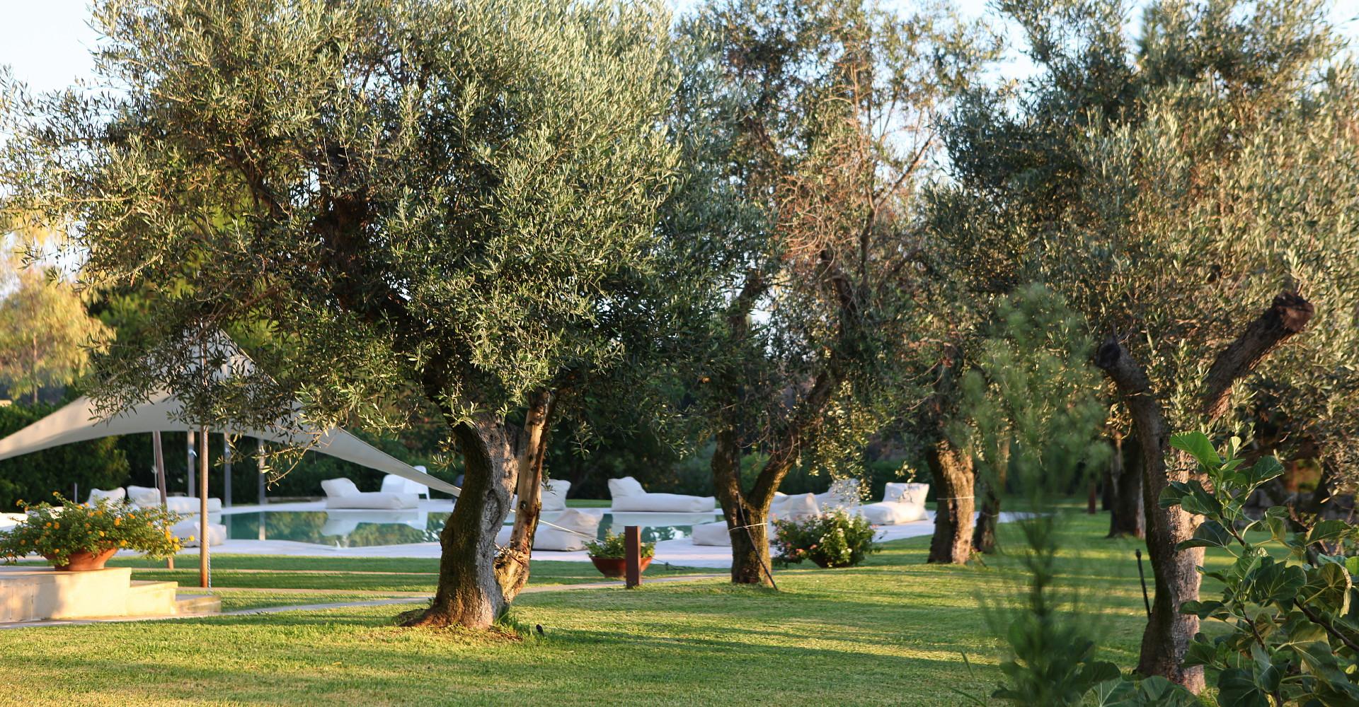 vue sur le jardin