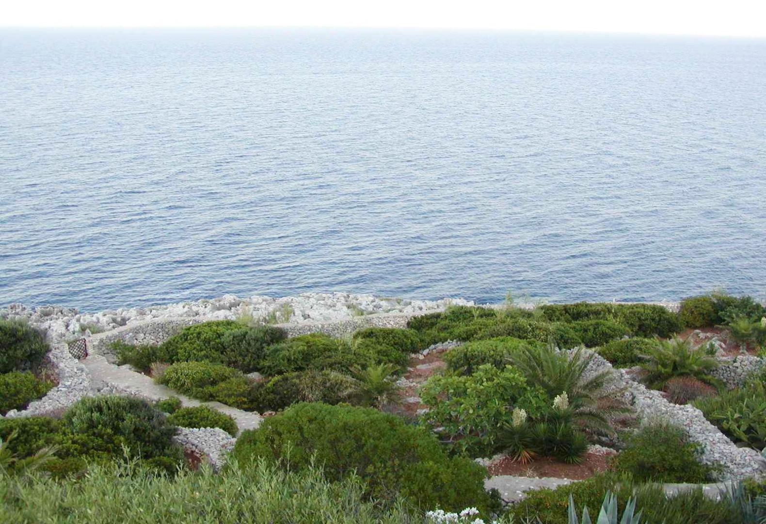Garden_with_path_through_the_property_&_to_the_rocky_coast (5)