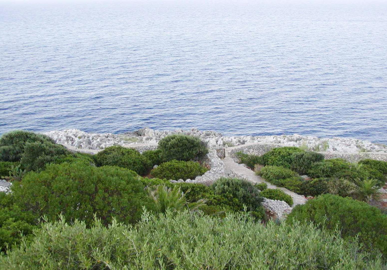 Garden_with_path_through_the_property_&_to_the_rocky_coast (6)