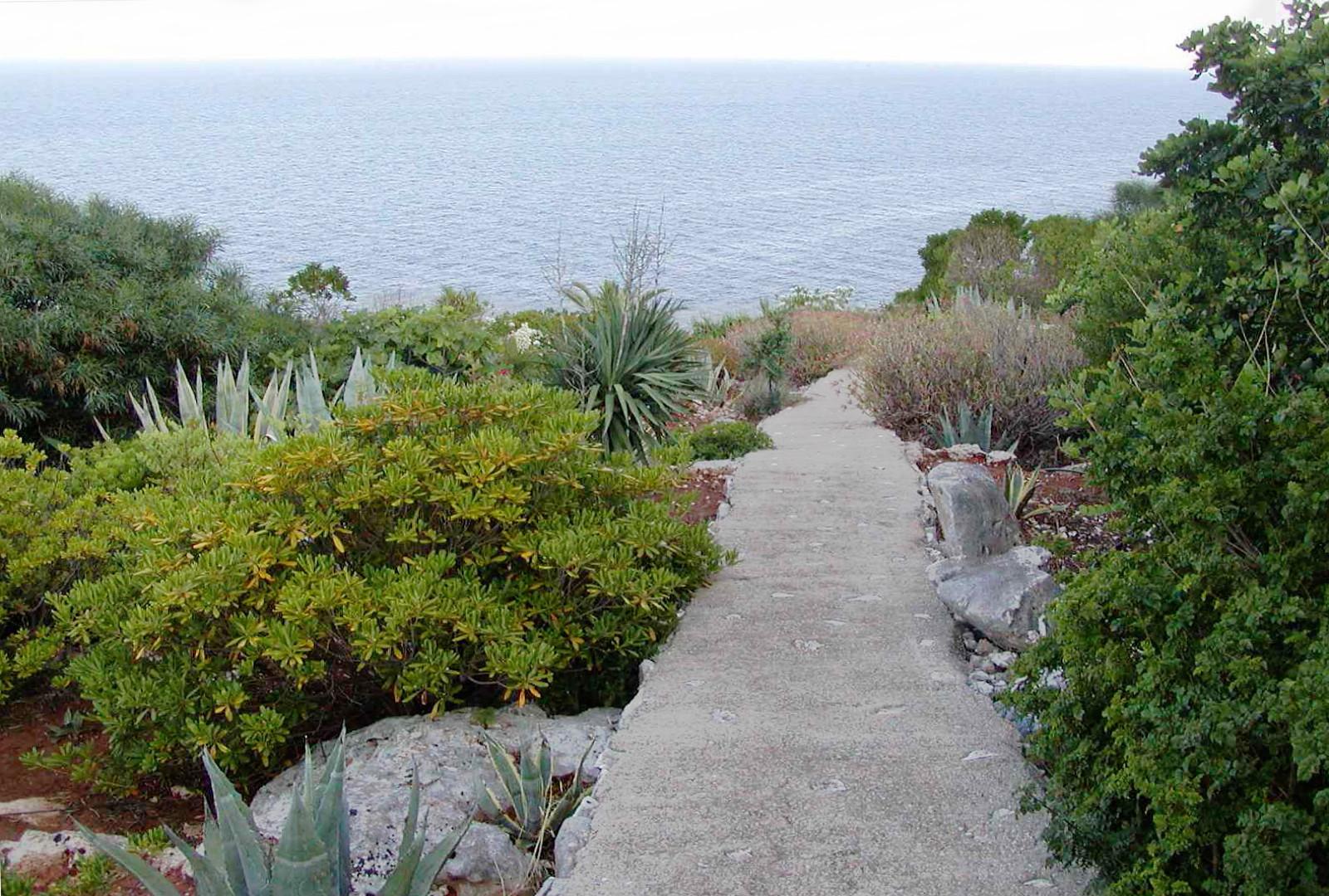 Garden_with_path_through_the_property_to_the_rocky_coast (1)