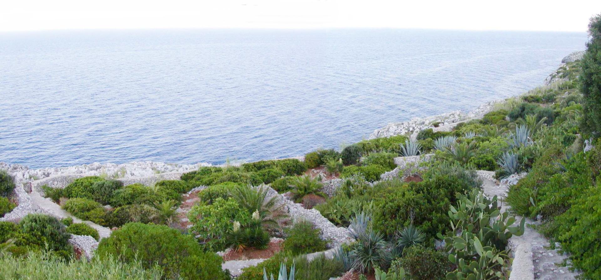 Garden_with_path_through_the_property_to_the_rocky_coast (4)