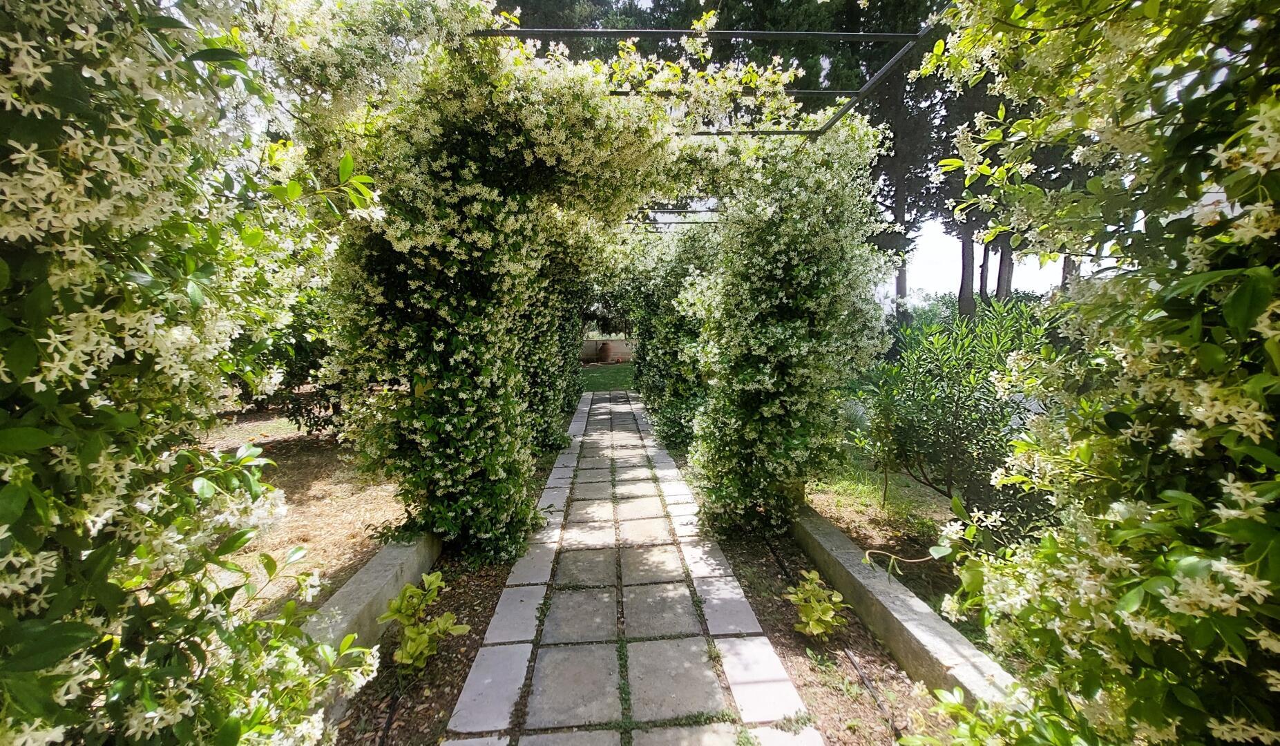 VILLA ARTESIA