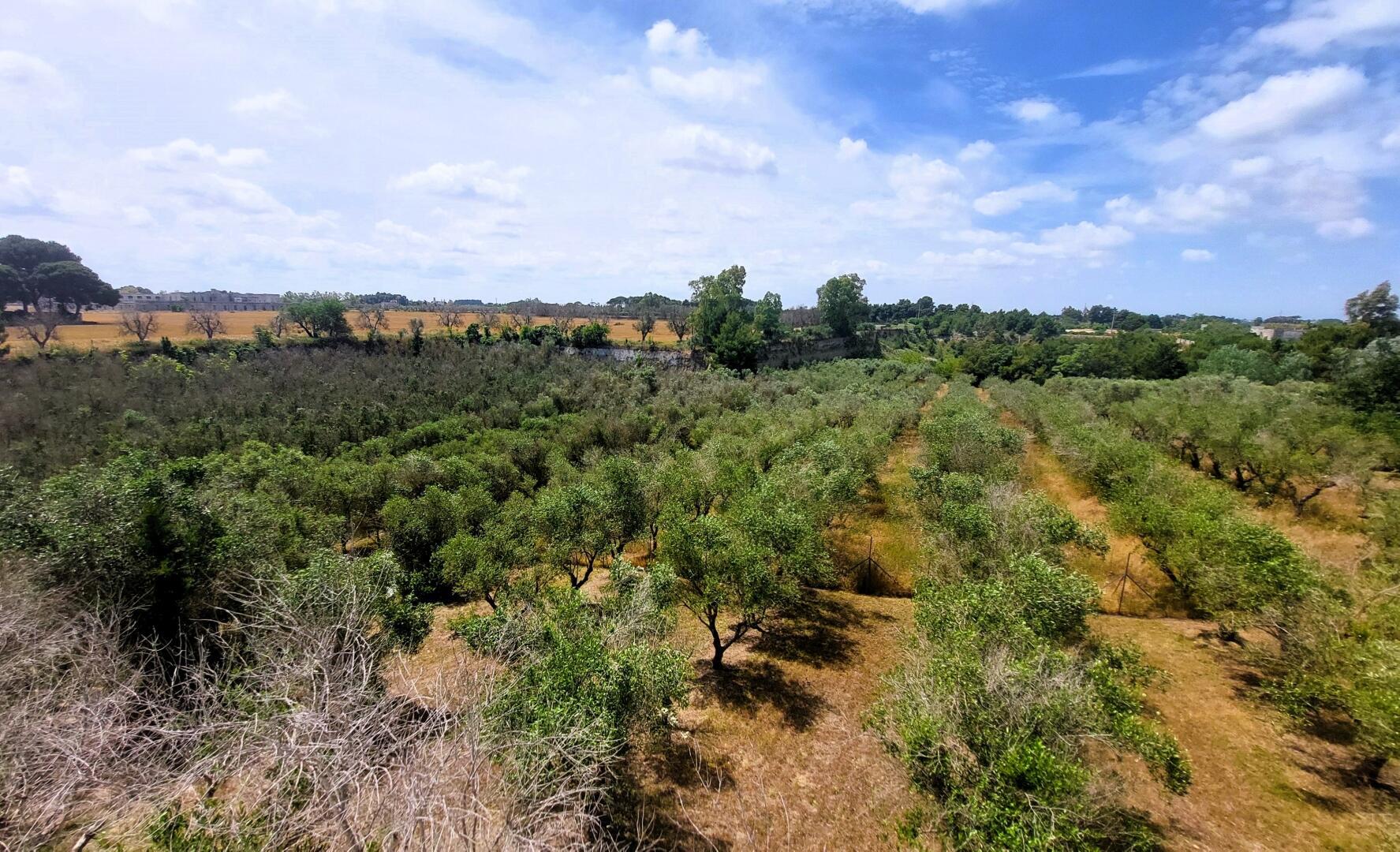 VILLA ARTESIA