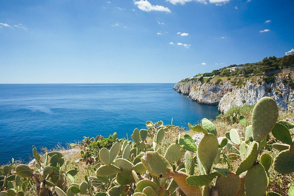 Adriatic coast