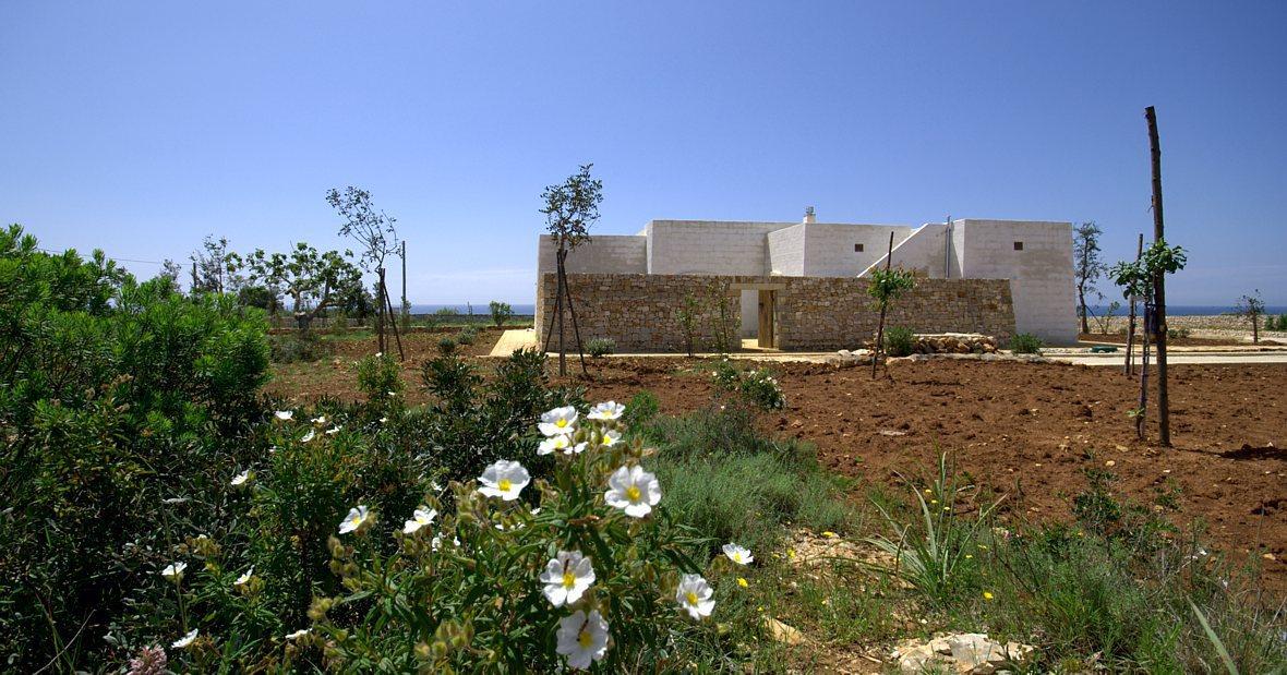 jardin a l‘arrière