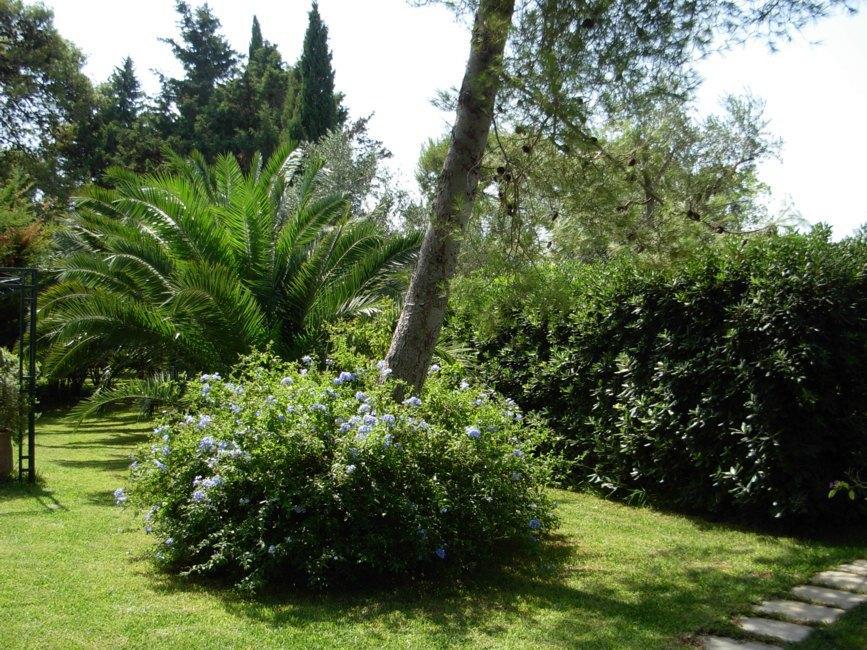 Jardin commun équipé