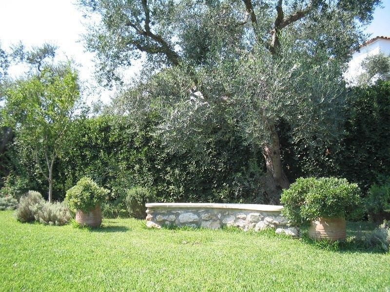 Giardino attrezzato comune