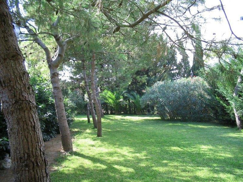 Giardino attrezzato comune