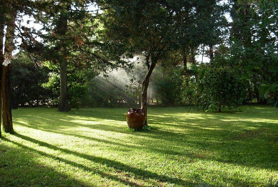 Giardino attrezzato comune