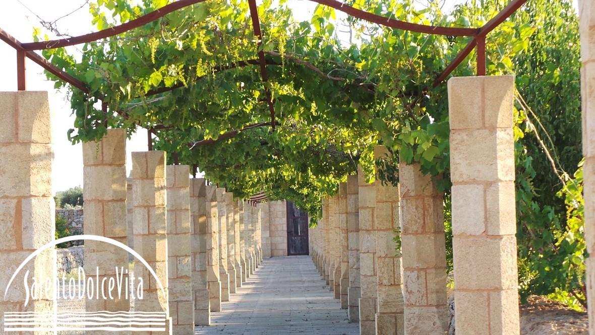 Entrance courtyard