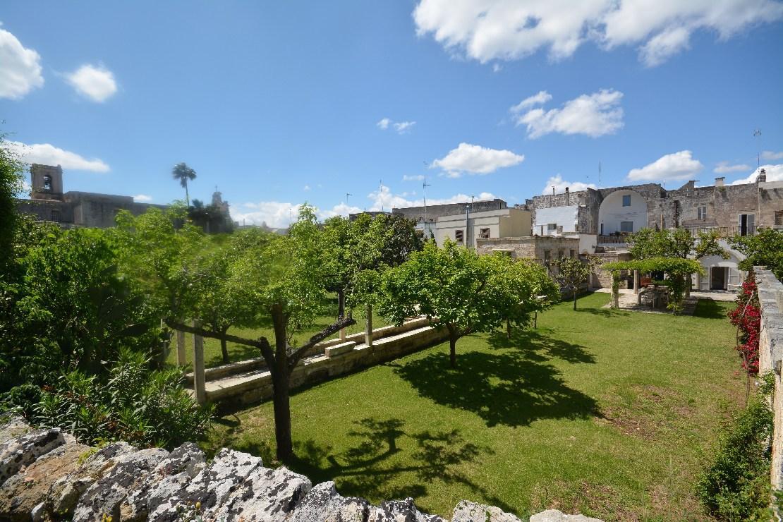 Garden - swimming pool area