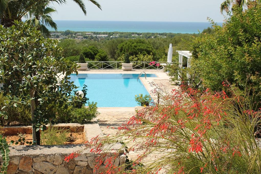 Swimming pool and sea view