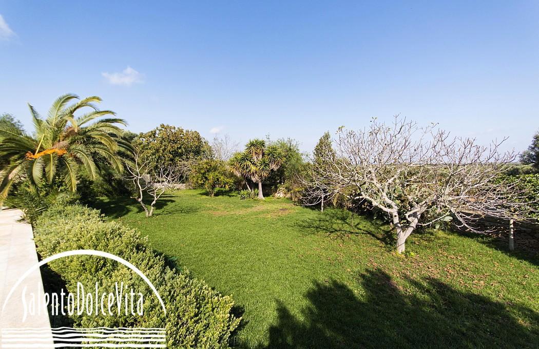 Giardino
