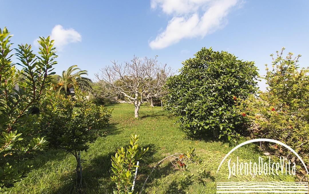 Giardino