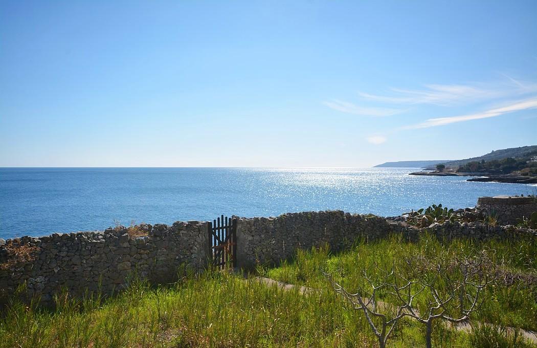 Jardin avec vue sur la mer