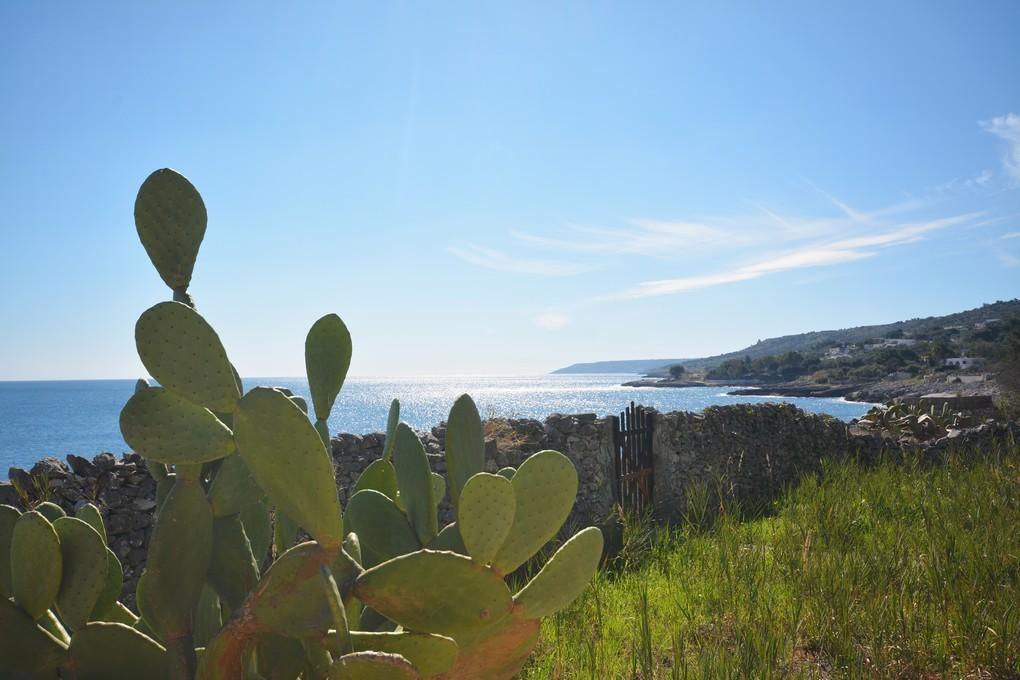 Jardin avec vue sur la mer