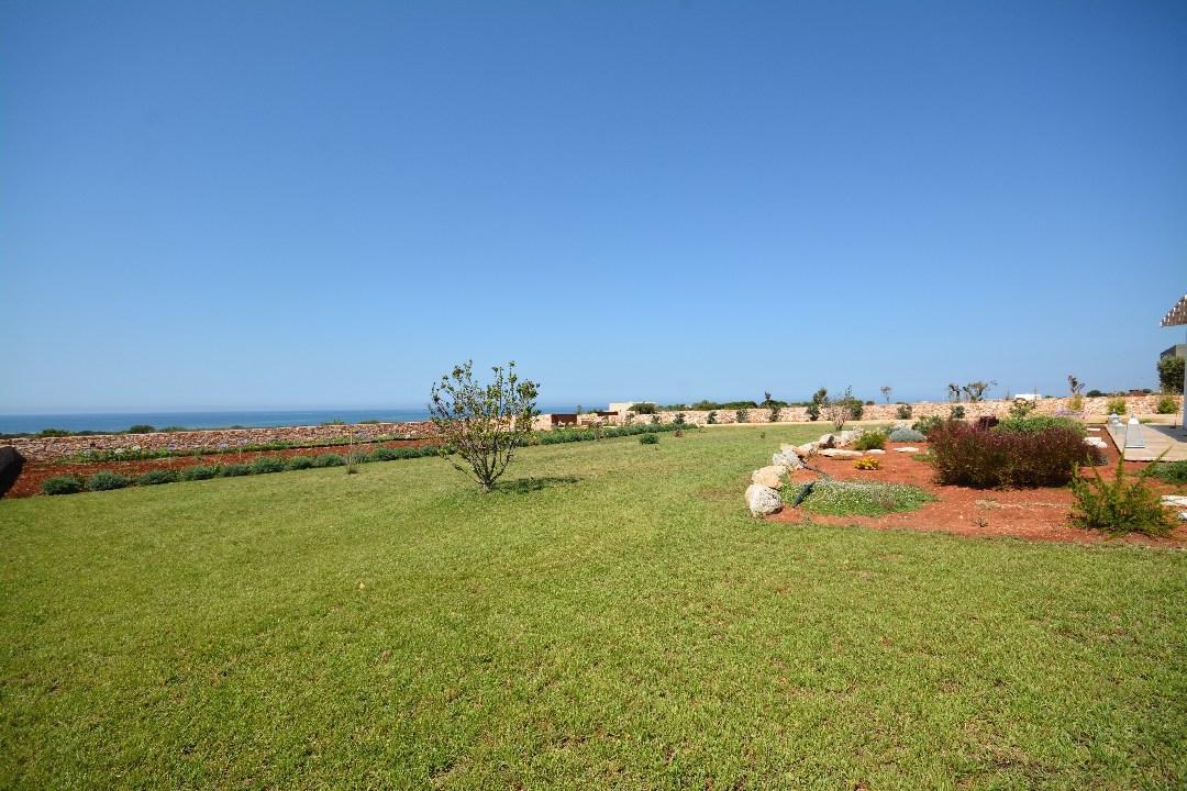 View of the garden from the house