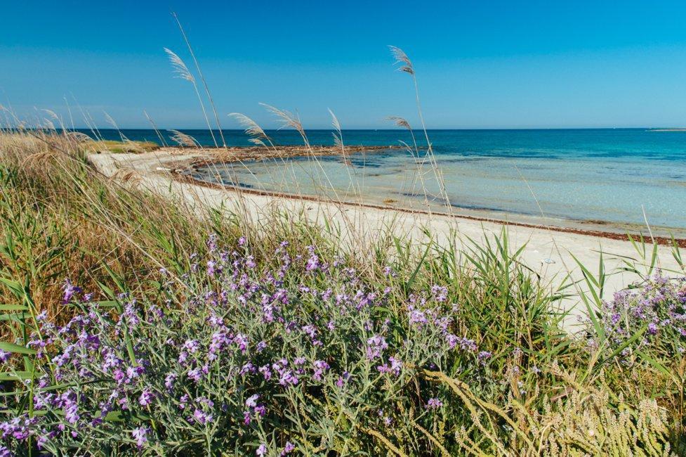 Nearest sandy beach -Torre Pali -