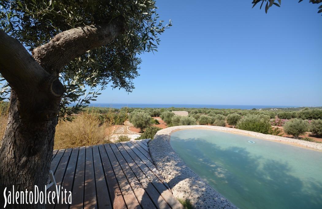 Swimming pool area Panoramic sea view 