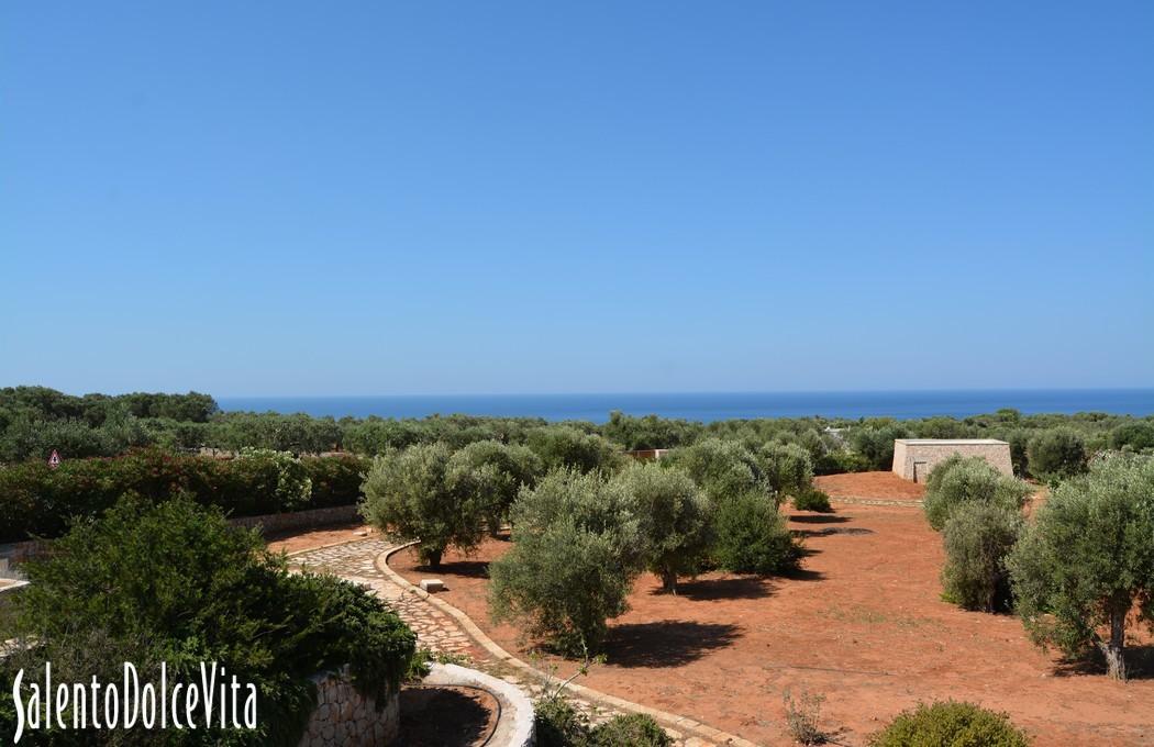 Swimming pool area Panoramic sea view 