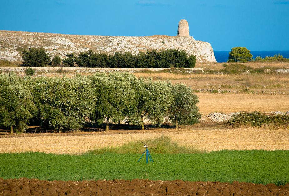 Otranto paesaggio costiero con antiche torri di avvistamento