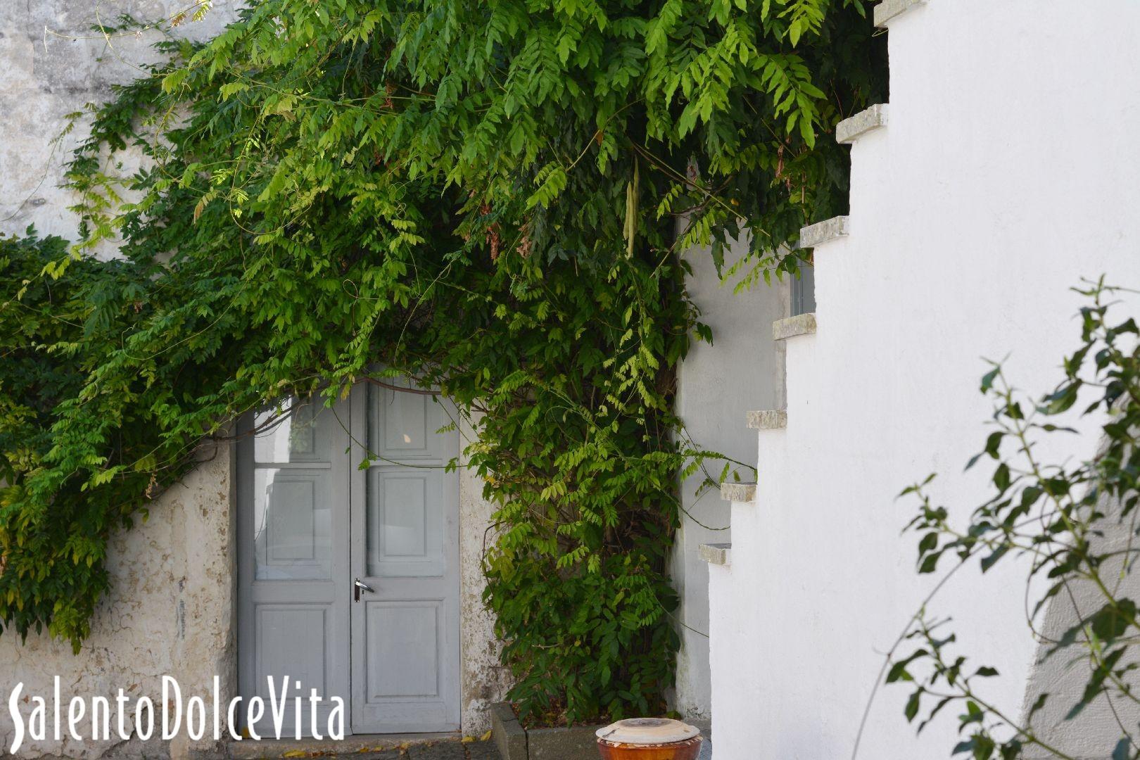 cortile con piscina dettagli