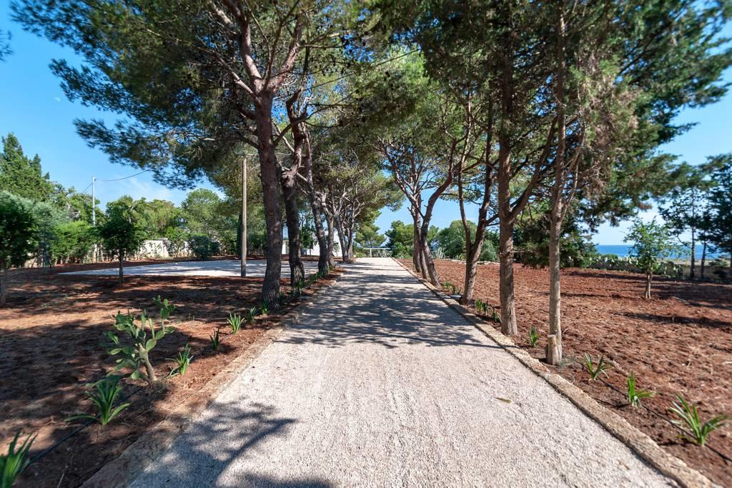 Viale di ingresso