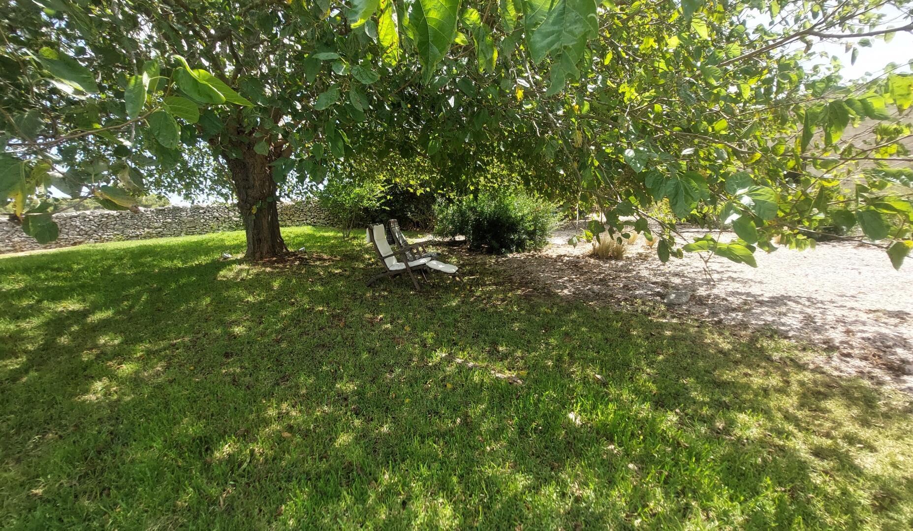 VILLA MASSERIA PETRA