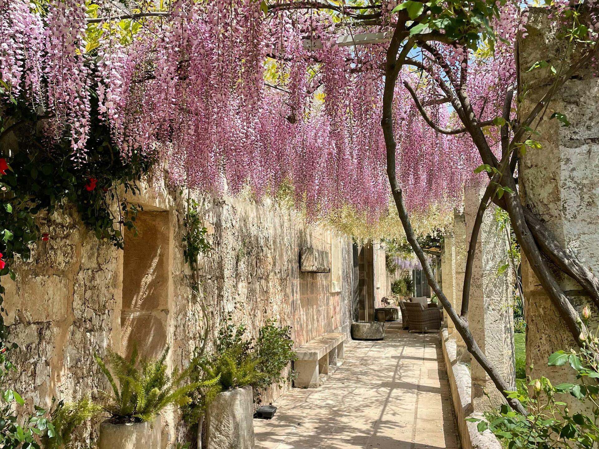 Pergola che collega alla dependance