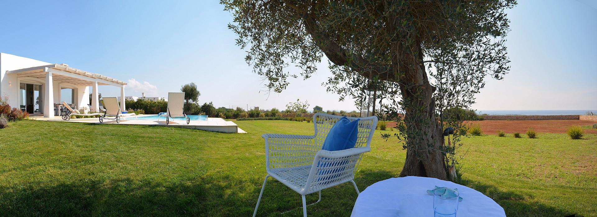 The villa- the pool the garden and the sea view