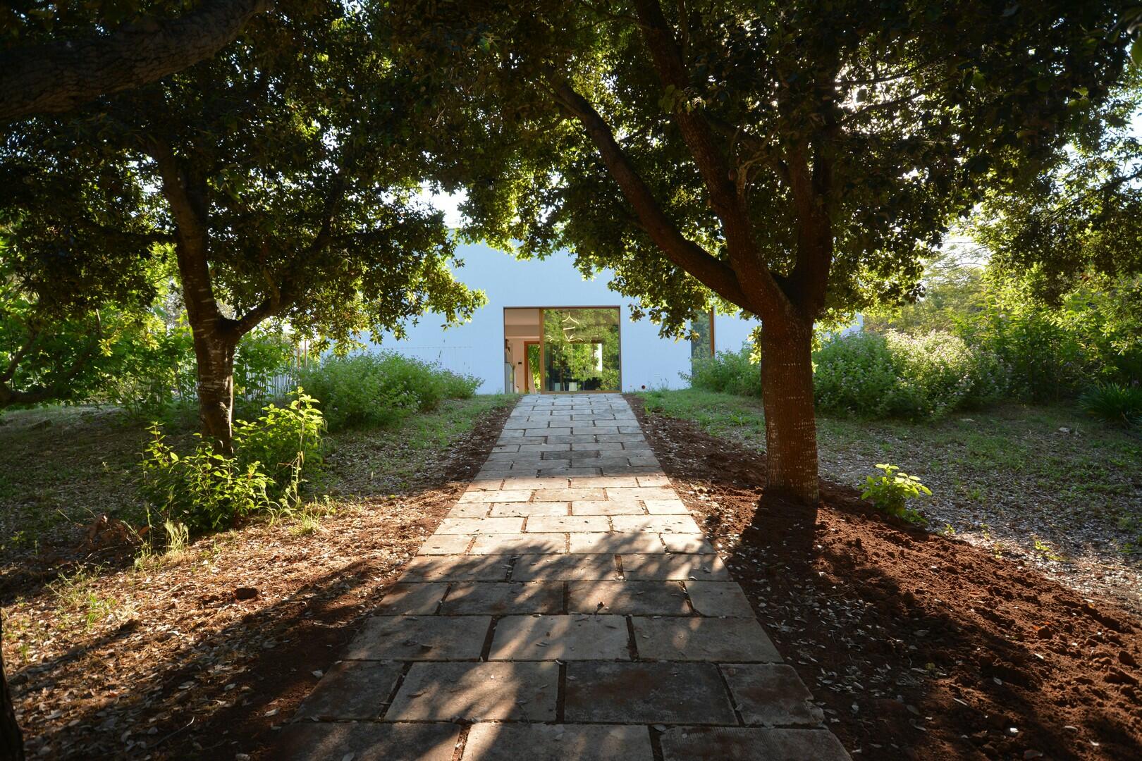 path under the oaks to the swimming pool area