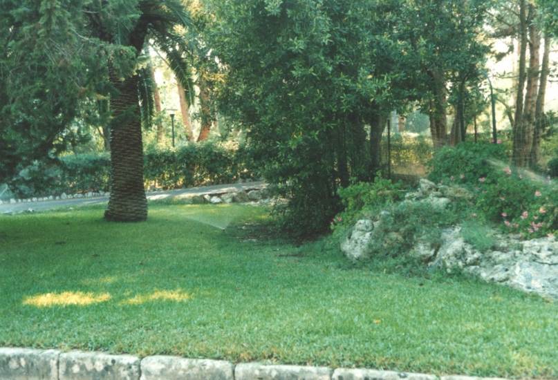 Giardino