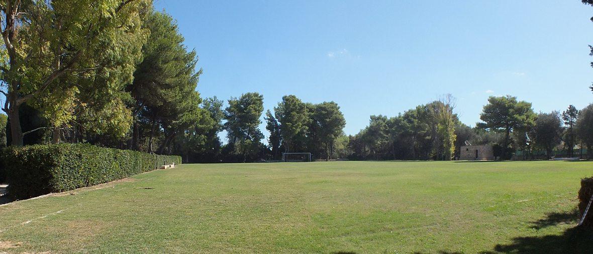 Soccer field