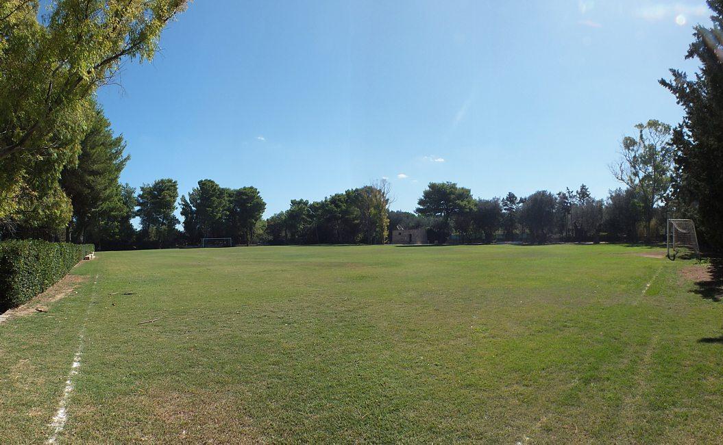 Campo da calcio