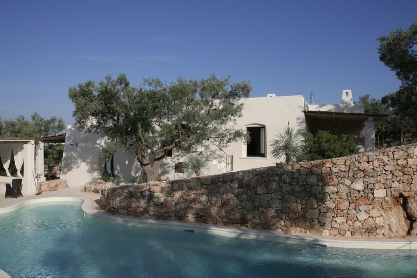 Swimming pool and common Pergola