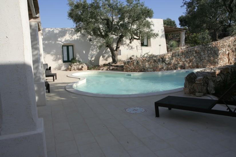 Swimming pool and common pergola