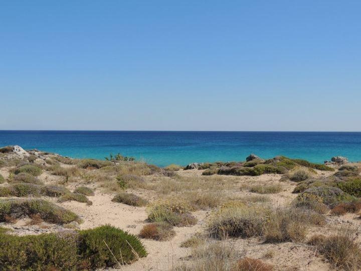 Sandy beach 2,3 Km