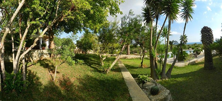 Espace piscine_vue sur le jardin et la maison