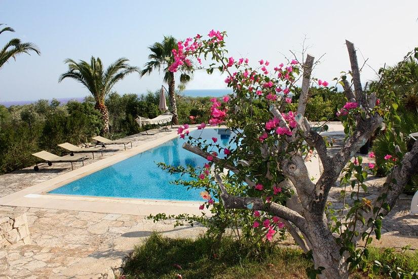 Piscine et vue mer