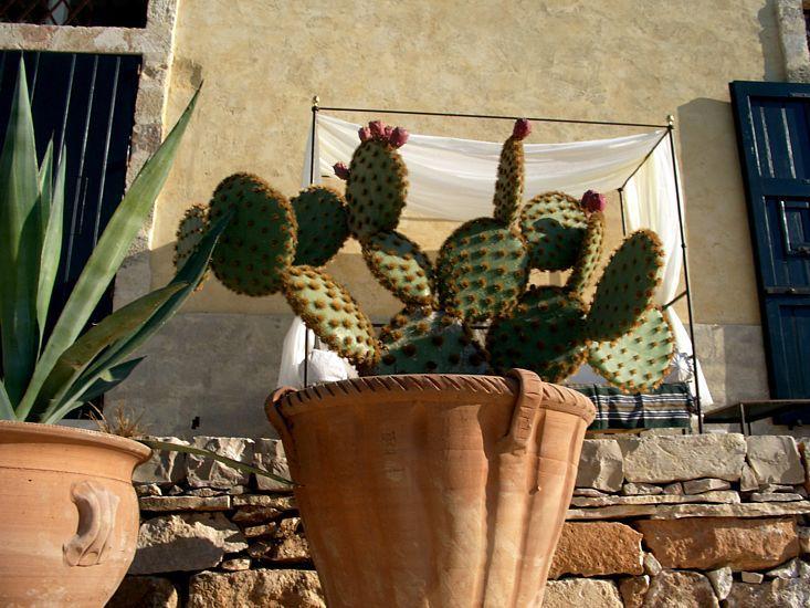 MASSERIA ACQUACHIARA