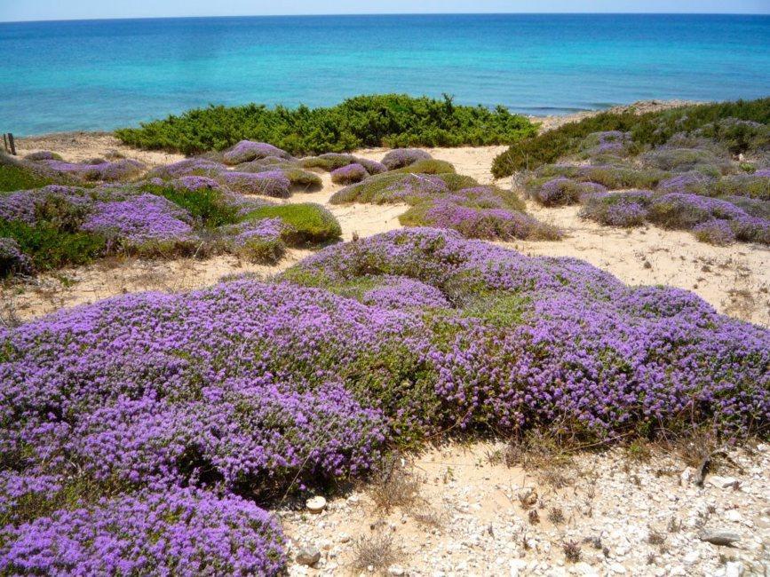 Spiaggia a 2,3 km