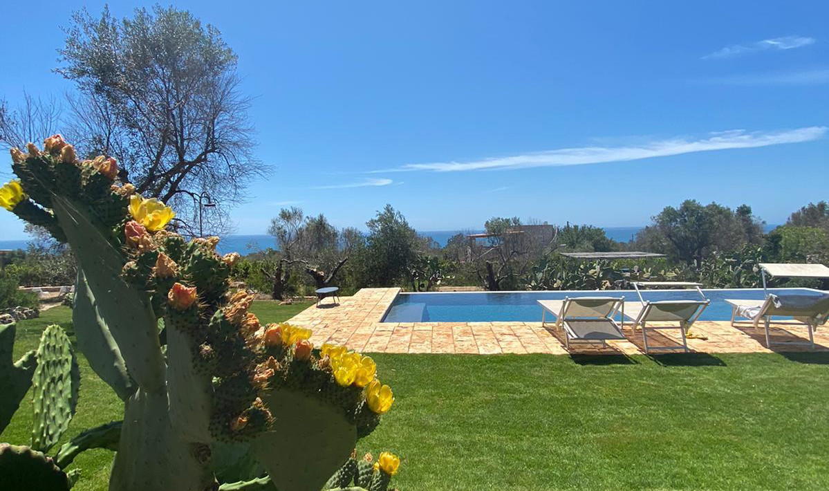 Swimming pool area with sea view