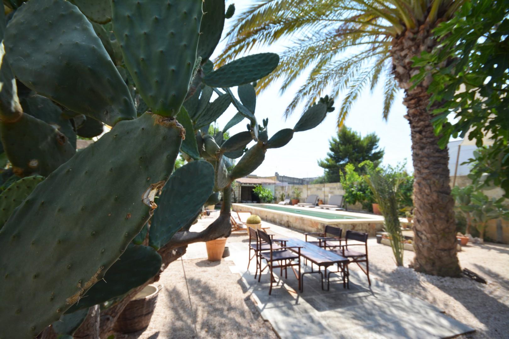 Swimming pool courtyard 