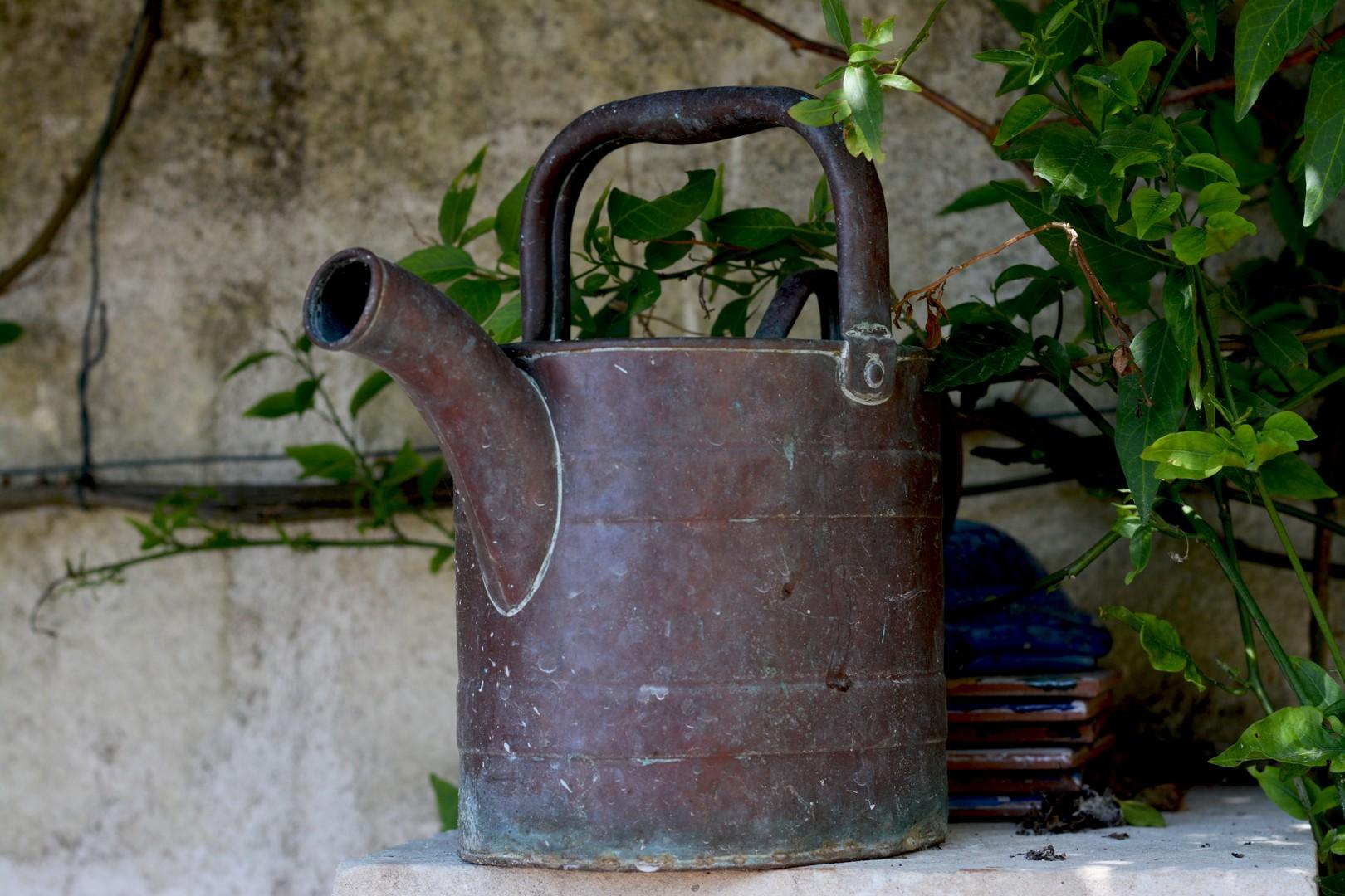 Piscine cour detail