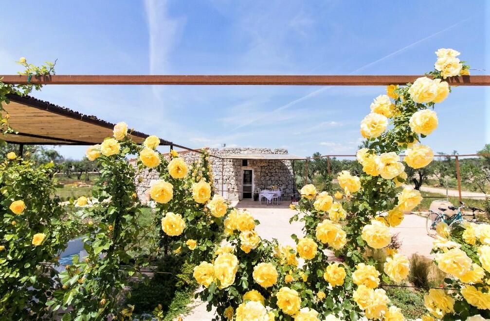 Vue du trullo de la piscine 