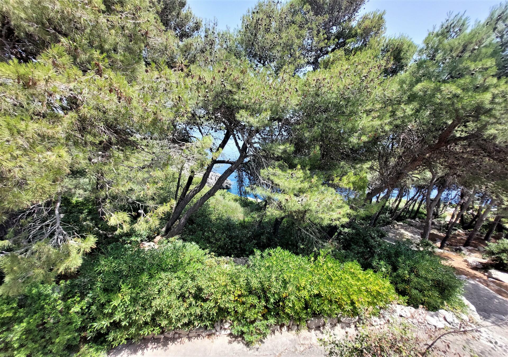 Chemin d‘accès à la mer