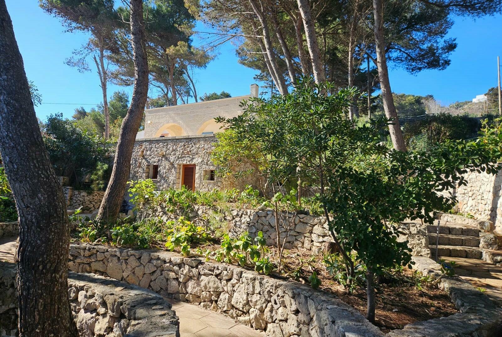 Main house and annex