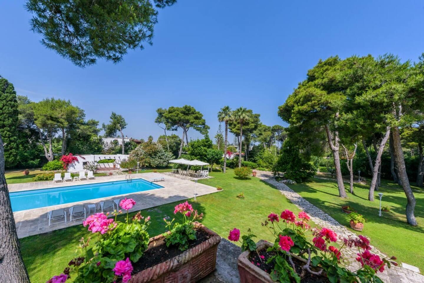 Swimming pool and garden