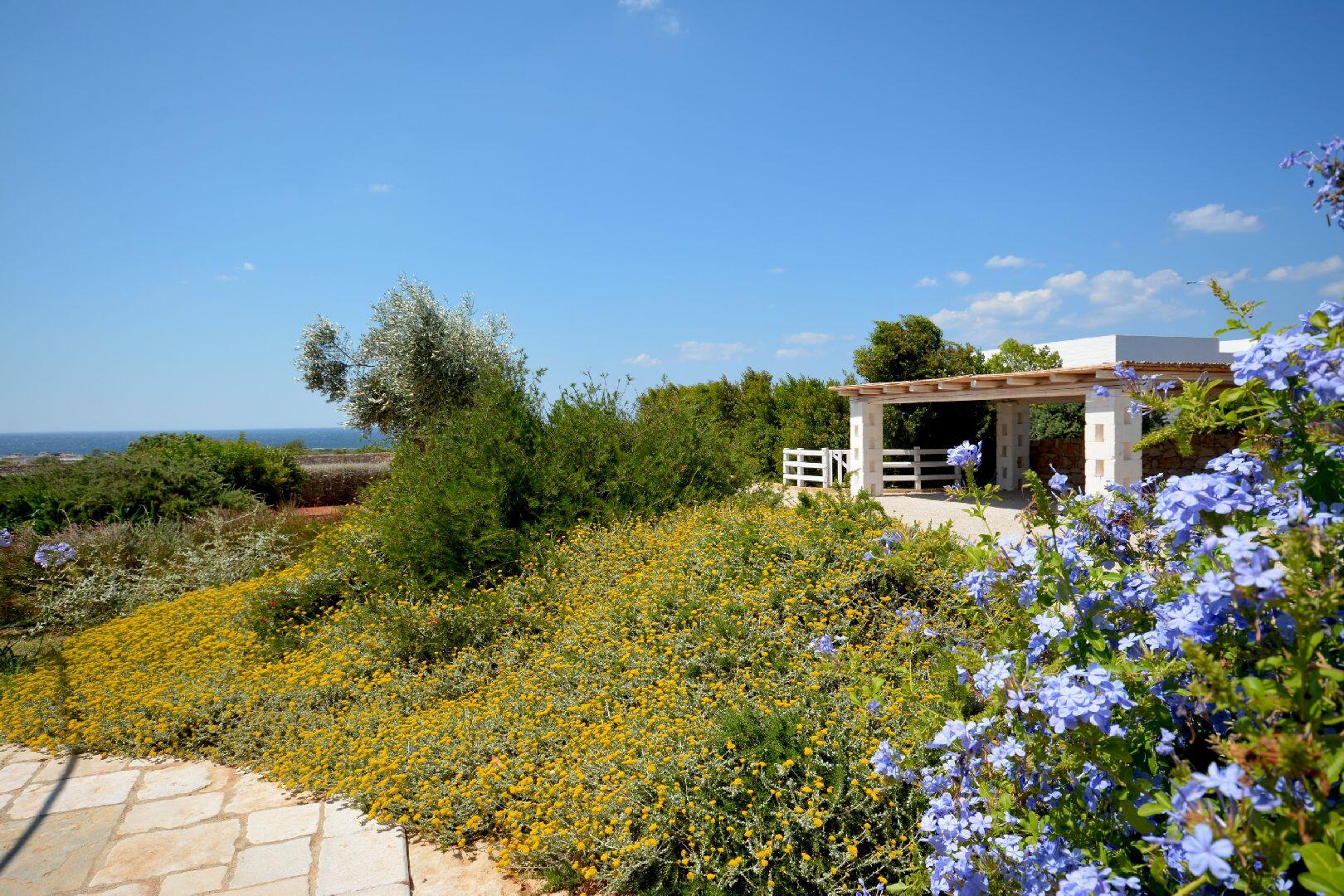 Dettaglio giardino - parcheggio